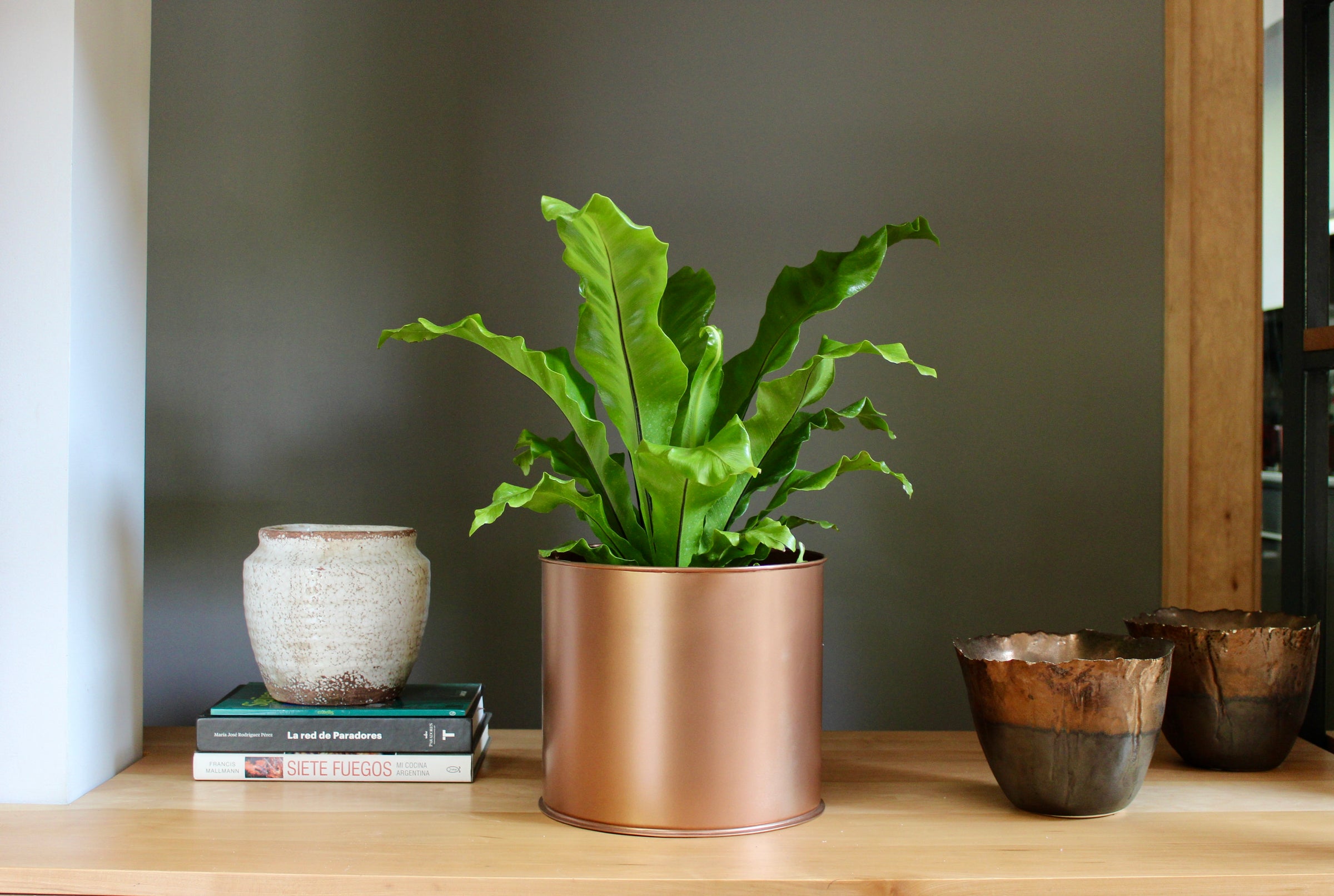 Maceteros de interior