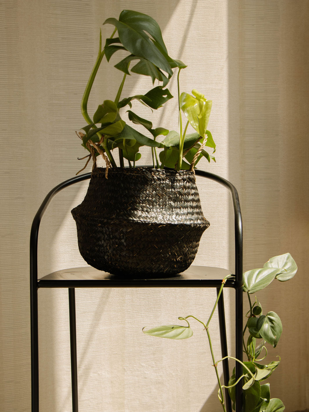 Guilis L (Canasto de Fibra Natural)