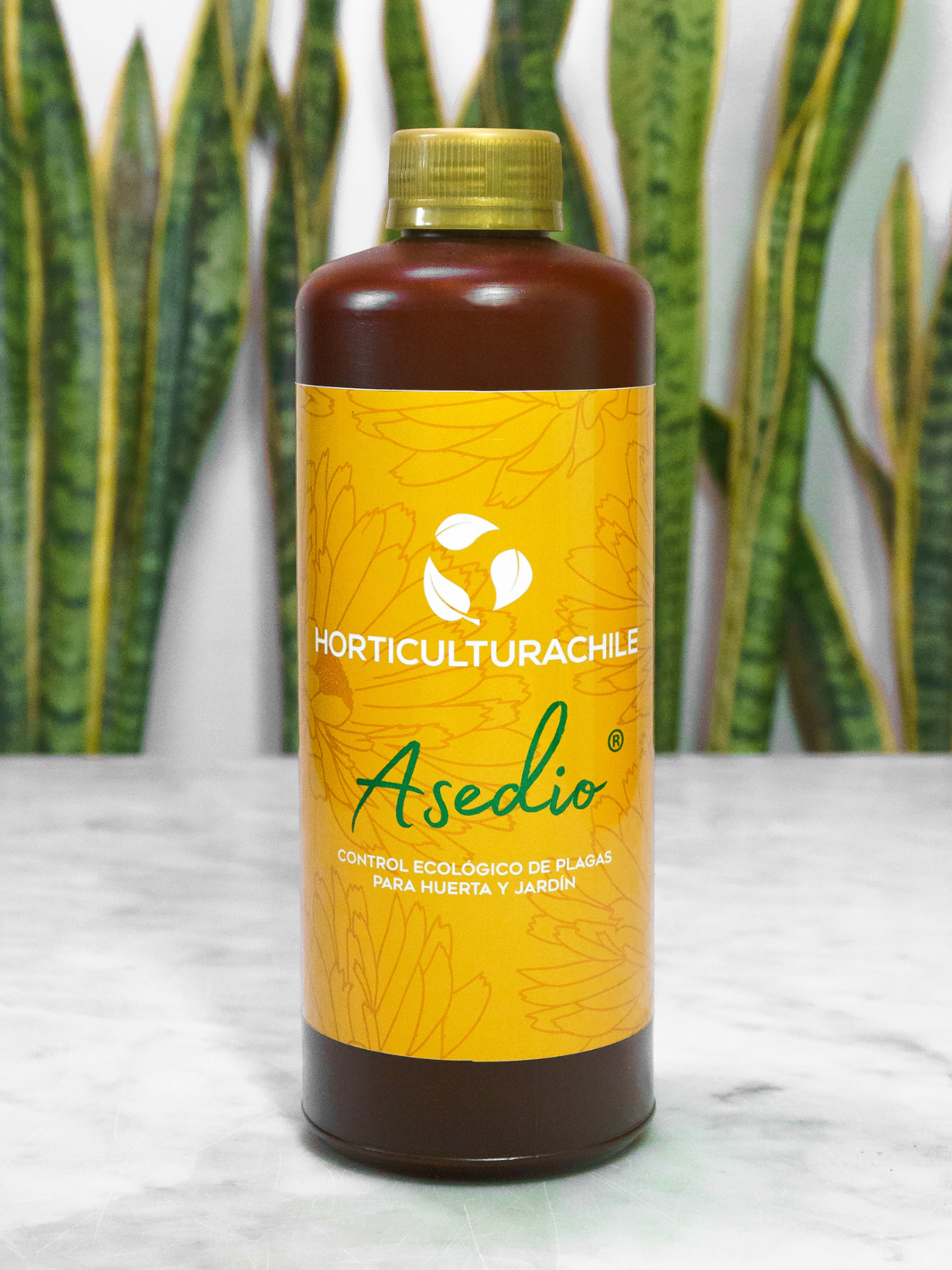 Asedio 1 Lt