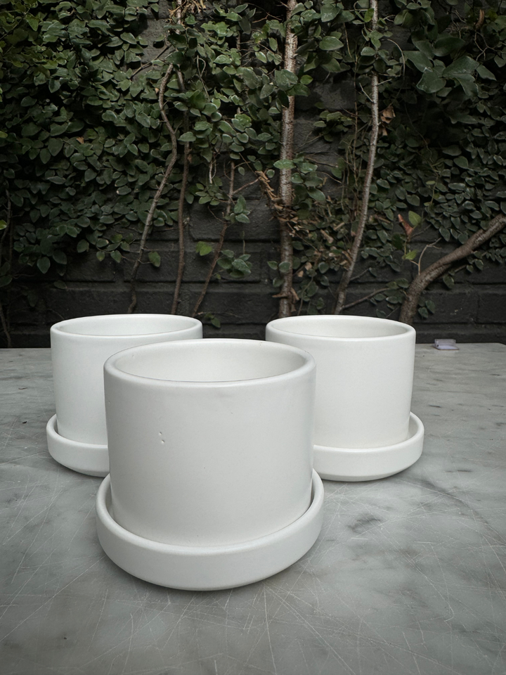 Pack de Zurich Blancos (Macetero de Ceramica)