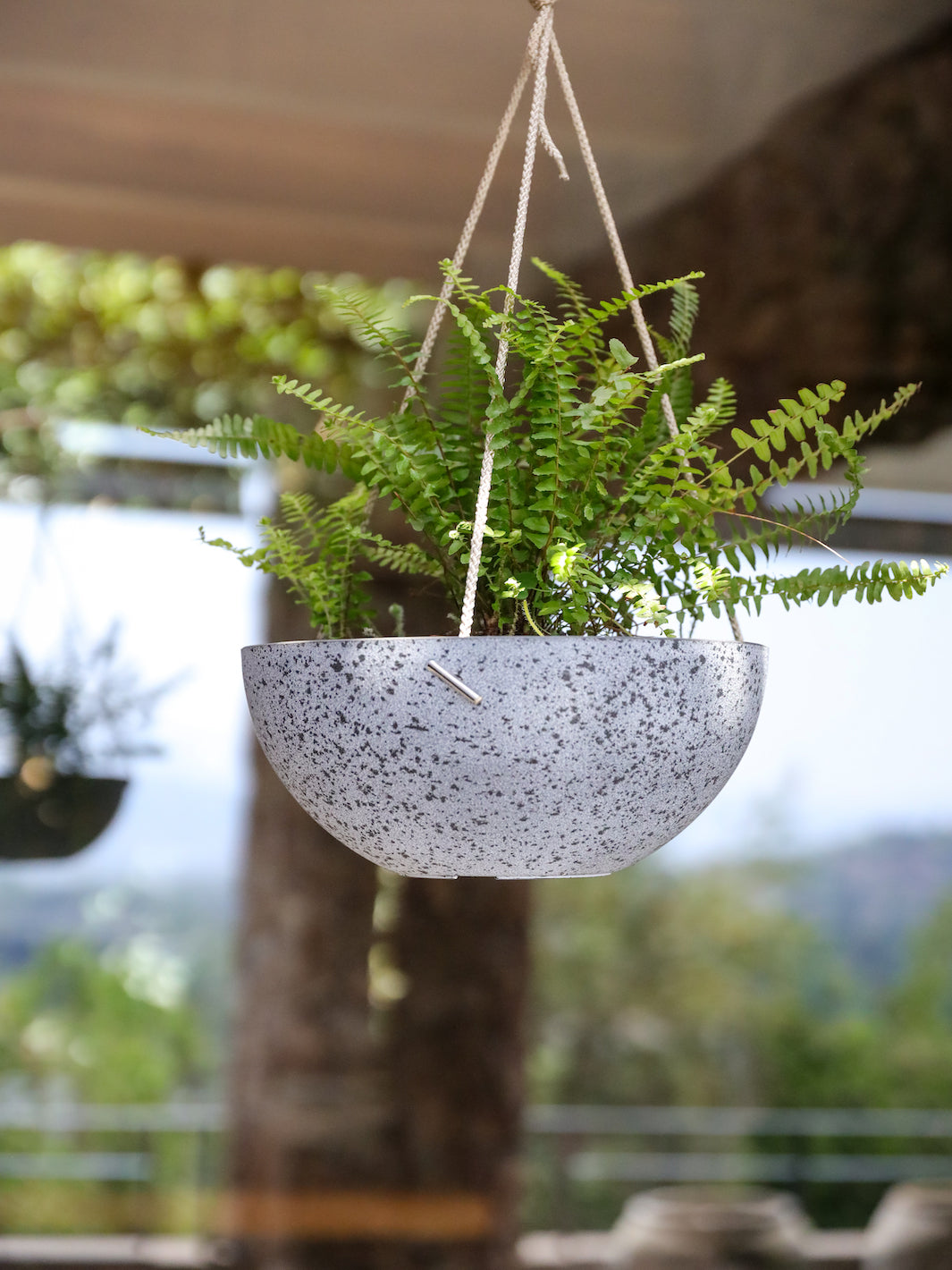 planta plastico Murcia 27 Blanco Piedra (Macetero Colgante Plástico Reciclado) – PlantMe  Chile