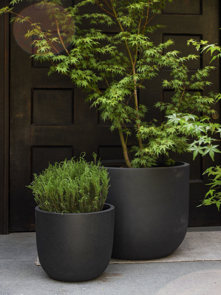 Bangkok Grafito 39 (Macetero Fiberclay)