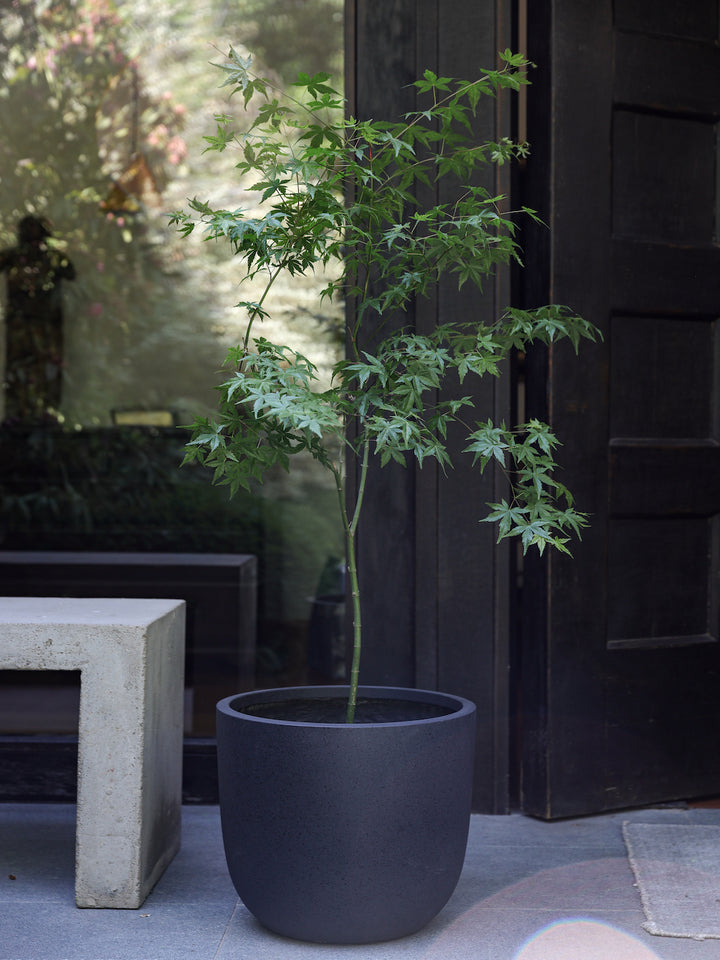 Bangkok Grafito 39 (Macetero Fiberclay)