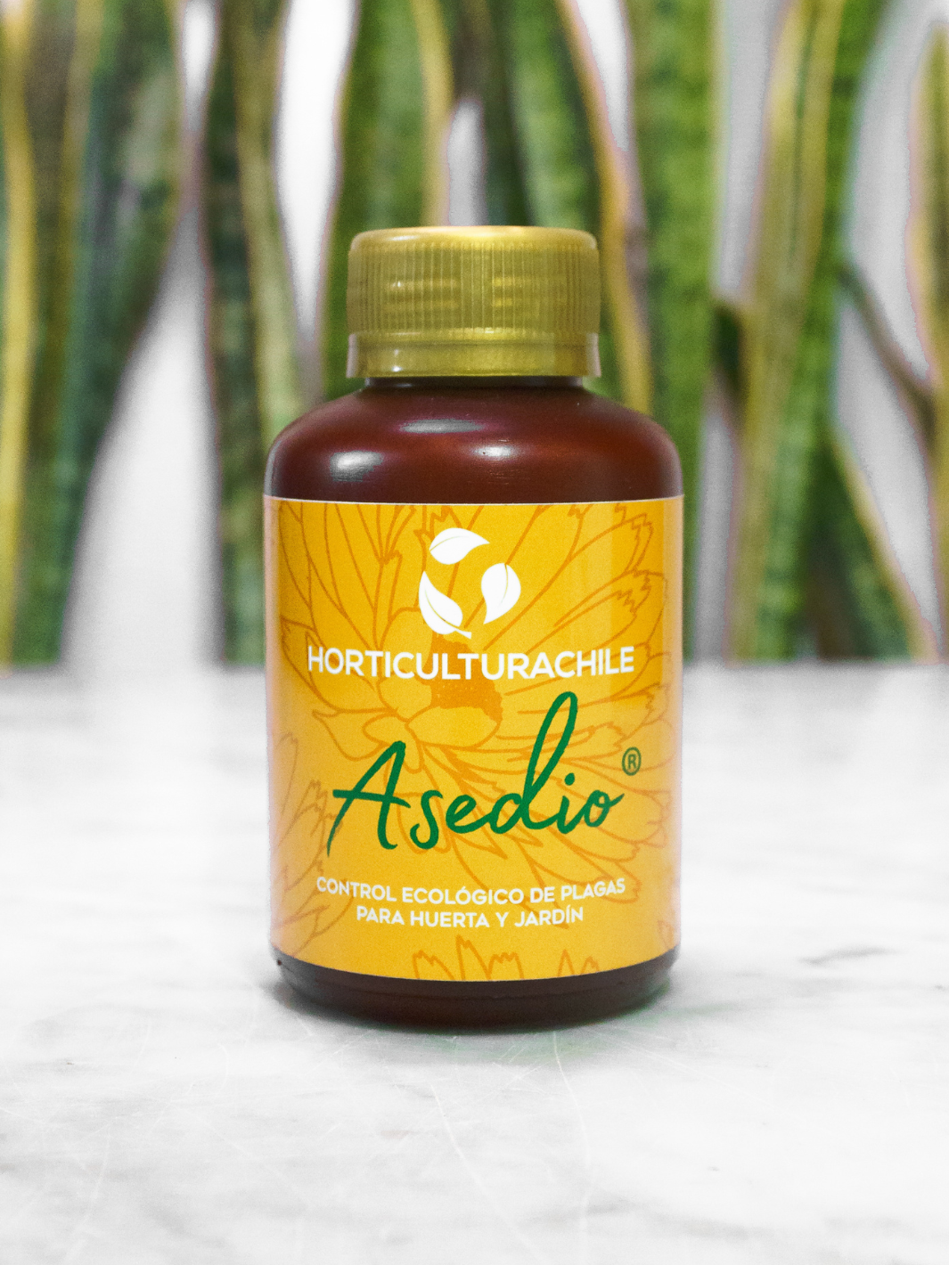 Asedio 280 ML