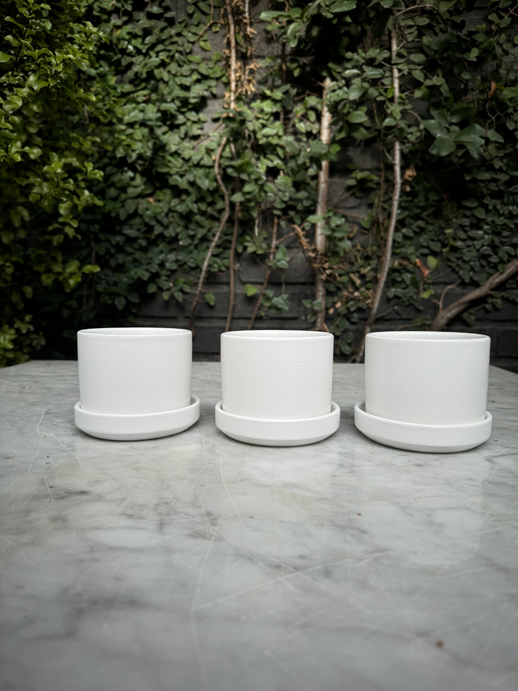 Pack de Zurich Blancos (Macetero de Ceramica)