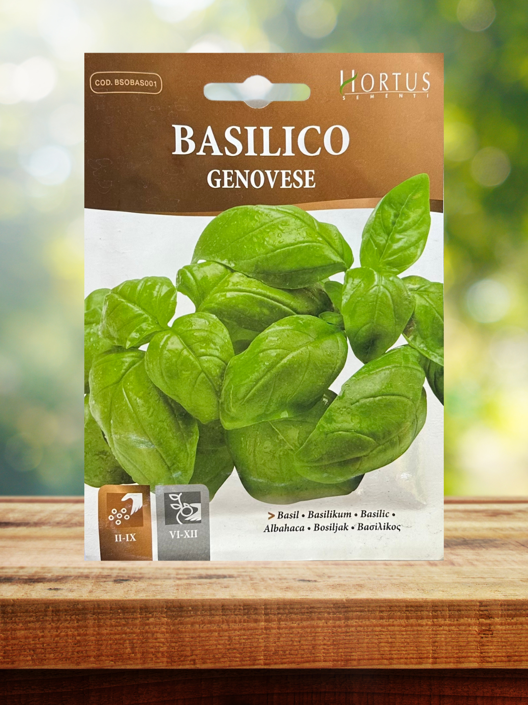 Semilla (Albacha Italiana)