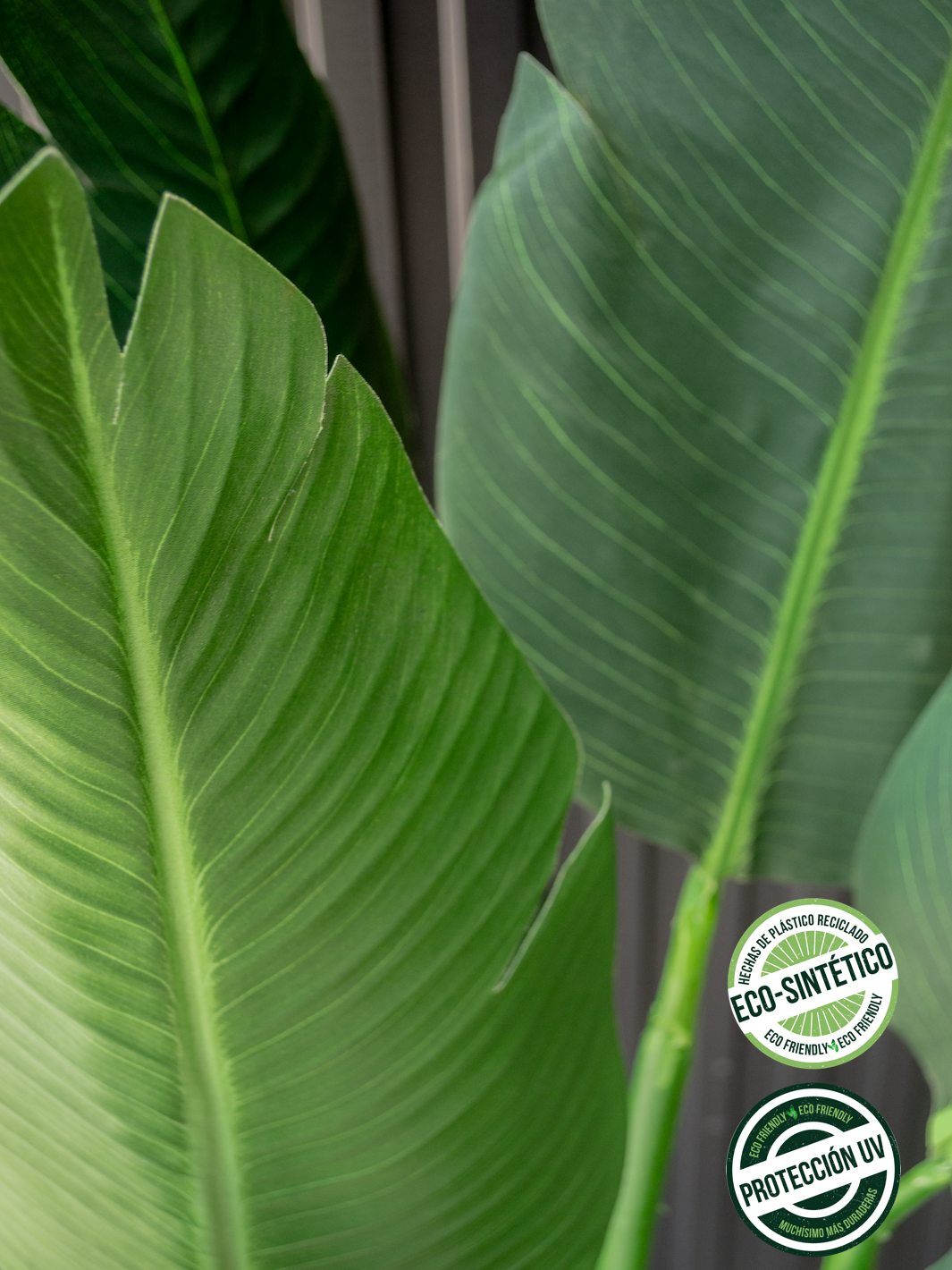 Strelitzia Nicolai 2.20 mts (Eco Sintetica)