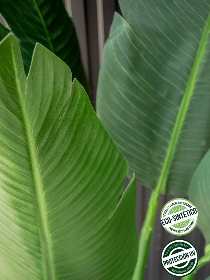 Strelitzia Nicolai 2.20 mts (Eco Sintetica)