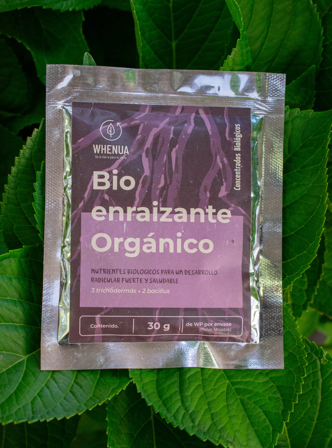 BioLife KaiRaiz - Enraizante Orgánico