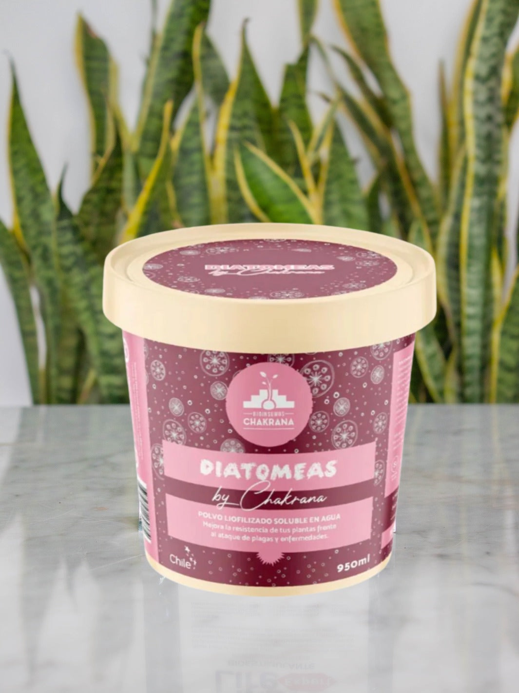 Diatomeas 950Ml