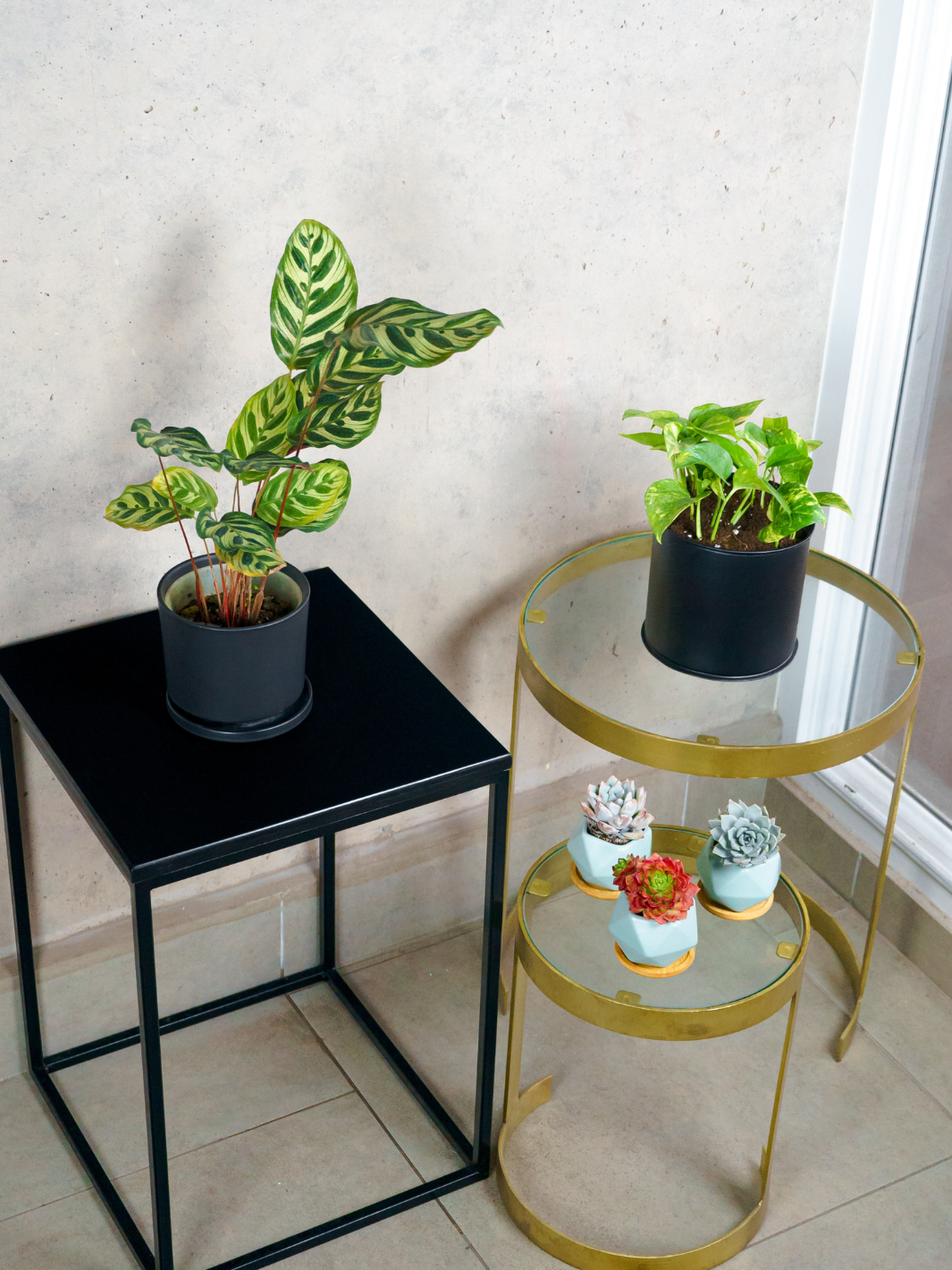 Pack Muebles