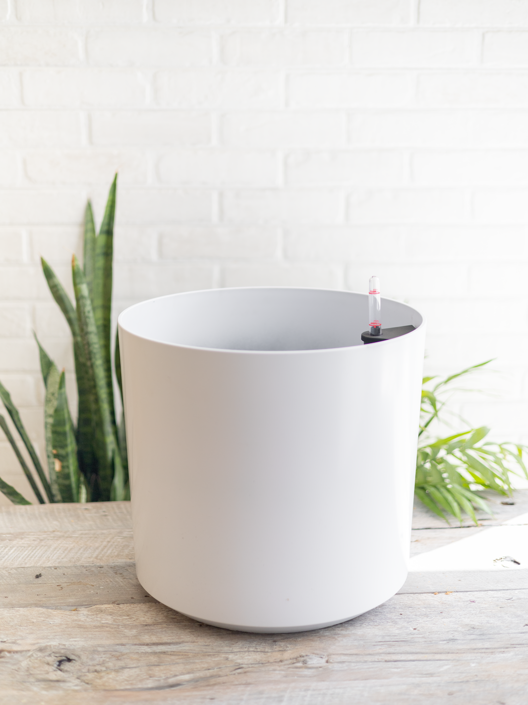Lisboa Blanco 37,5 (Autorregante XL)