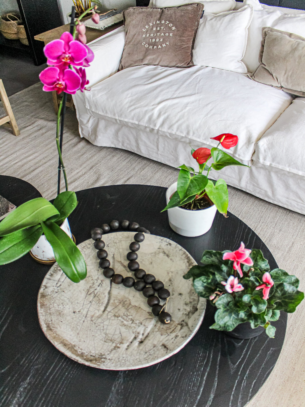 Pack Plantas con Flor