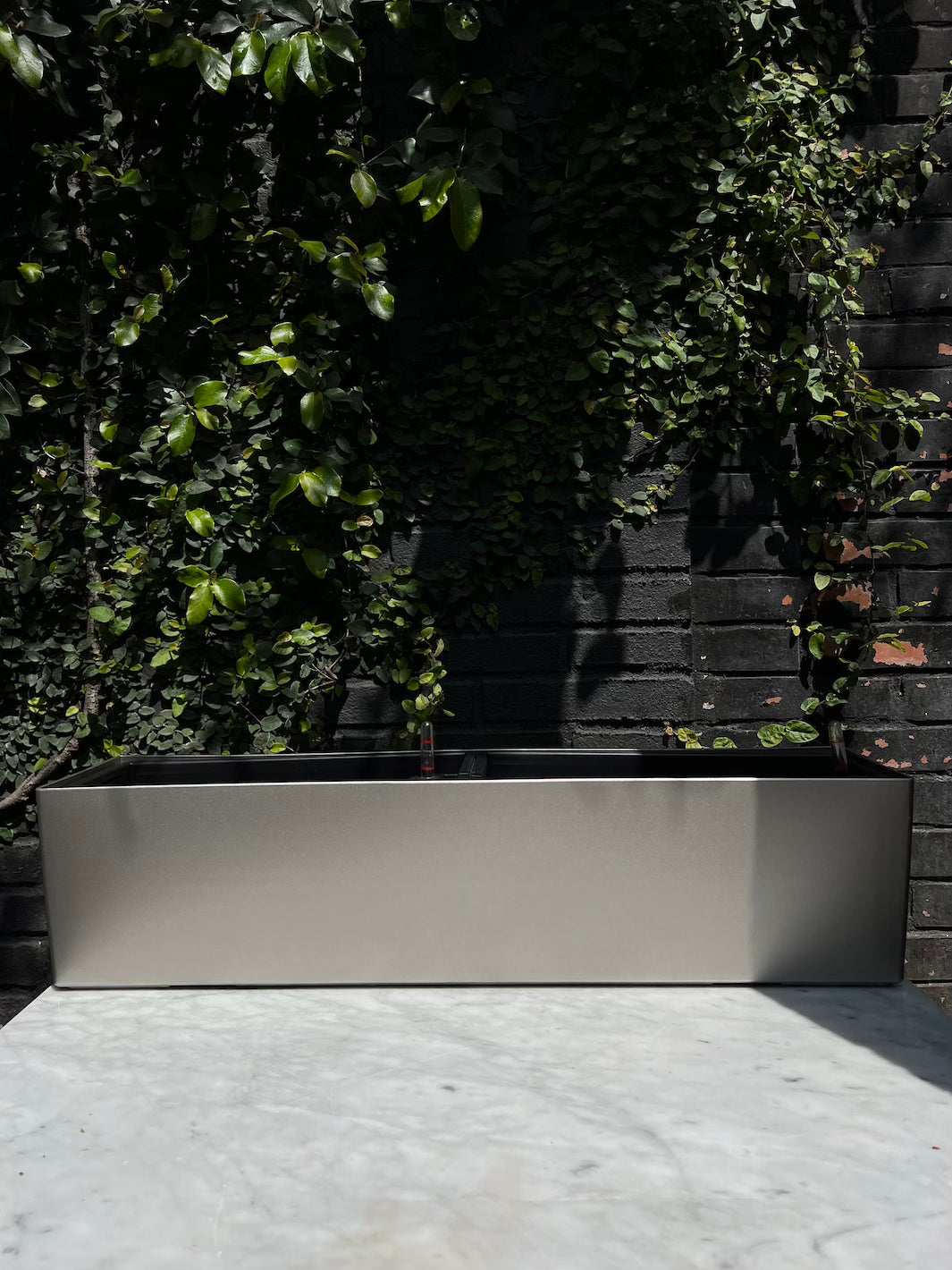 Valencia Gris 80 (Autorregante XXL)