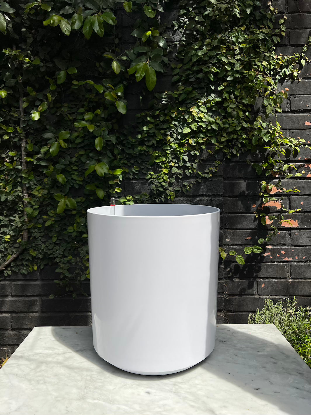Lisboa Blanco 37,5 (Autorregante XL)