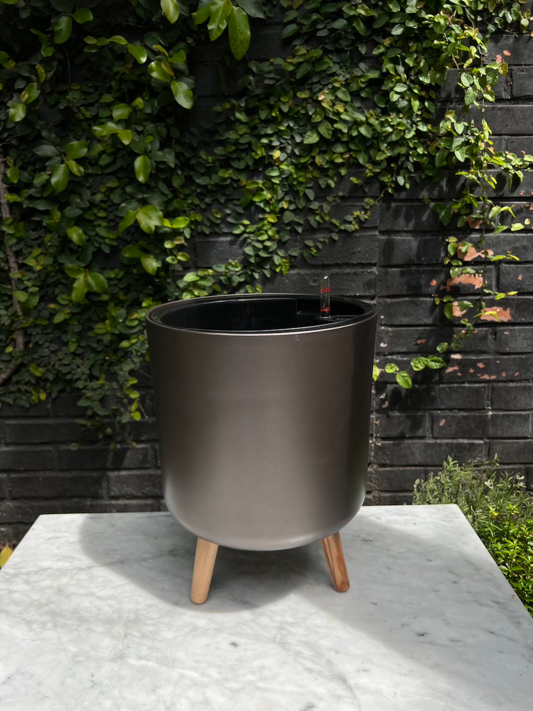 Atenas Cafe 36,5 Autorregante XL)