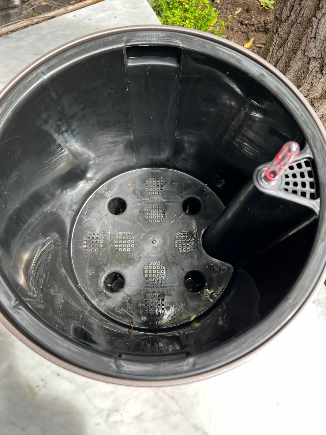 Atenas Cafe 36,5 Autorregante XL)