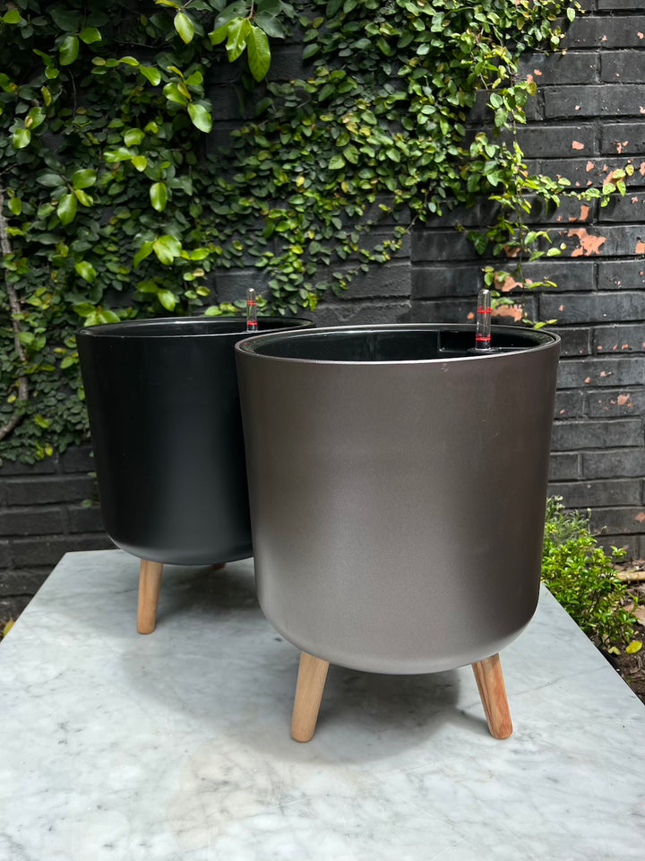 Atenas Cafe 36,5 Autorregante XL)