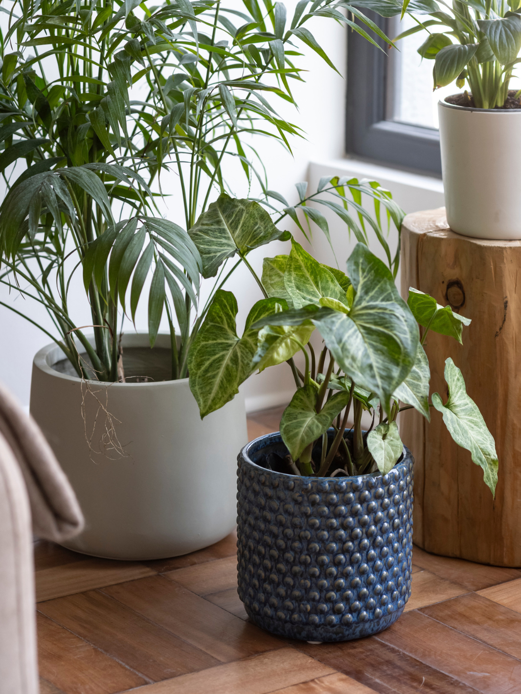 Oslo 27x27 Azul (Porta Macetero Cerámica L)