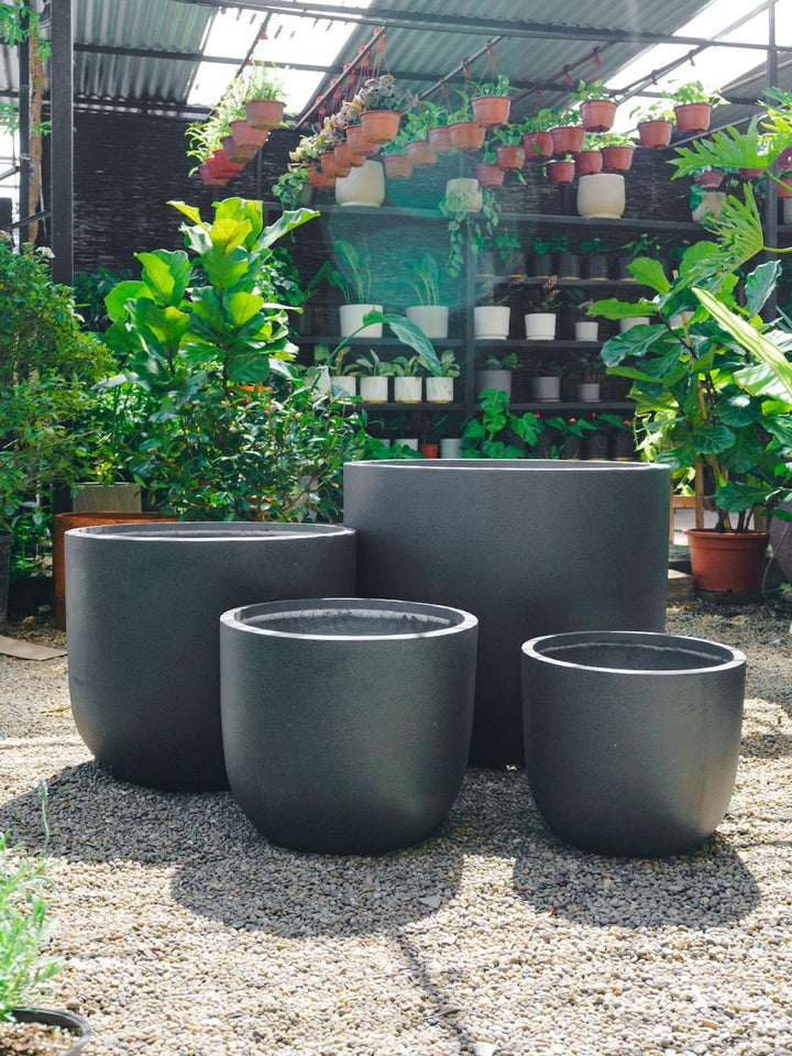 Bangkok Grafito 39 (Macetero Fiberclay)