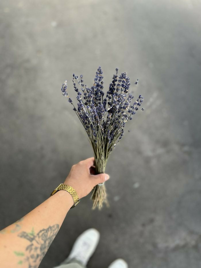 Lavanda Seca