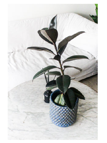 Oslo 20x20 Azul (Porta Macetero Cerámica M)