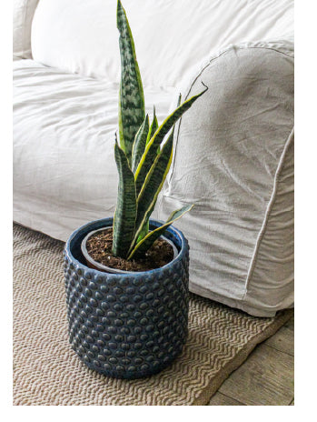 Oslo 27x27 Azul (Porta Macetero Cerámica L)