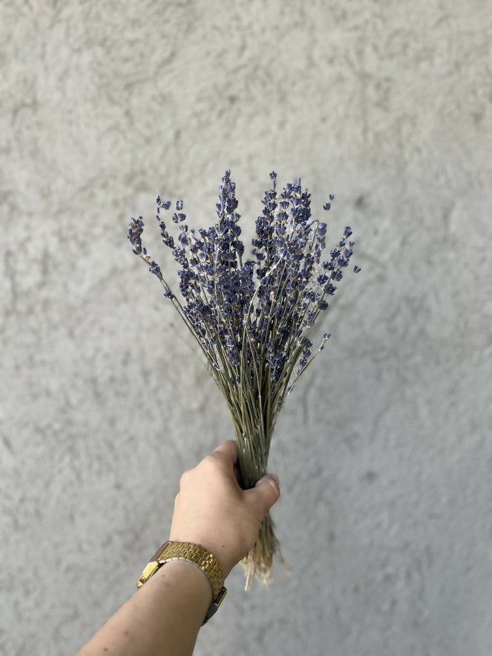 Lavanda Seca