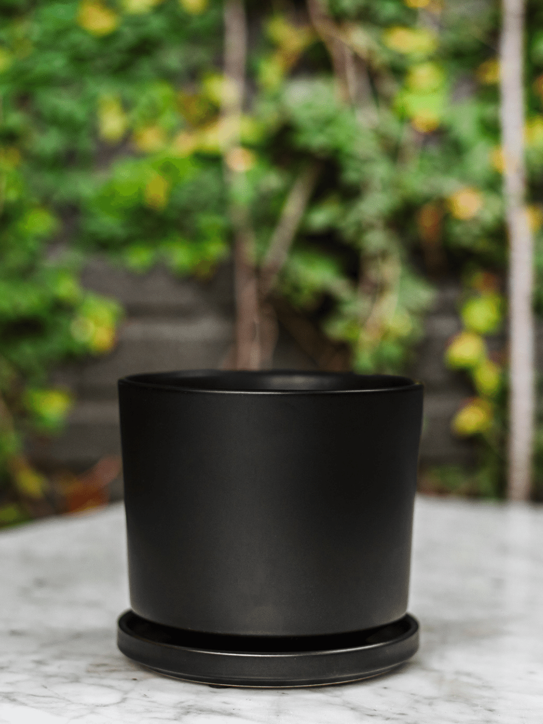 Dinamarca Negro 16" (Macetero cerámica) Plant Me