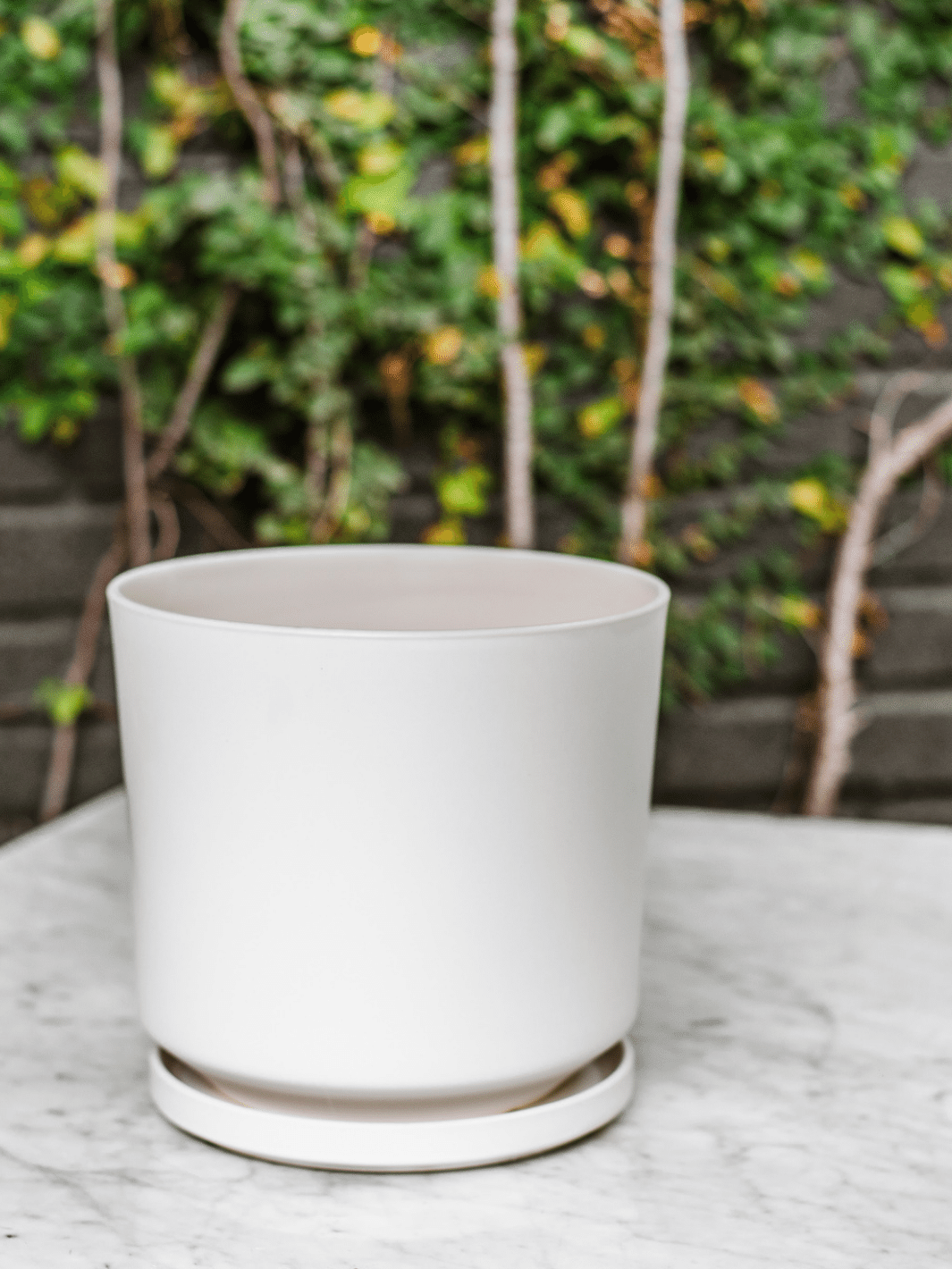 Dinamarca Blanco 24" (Macetero cerámica) Plant Me