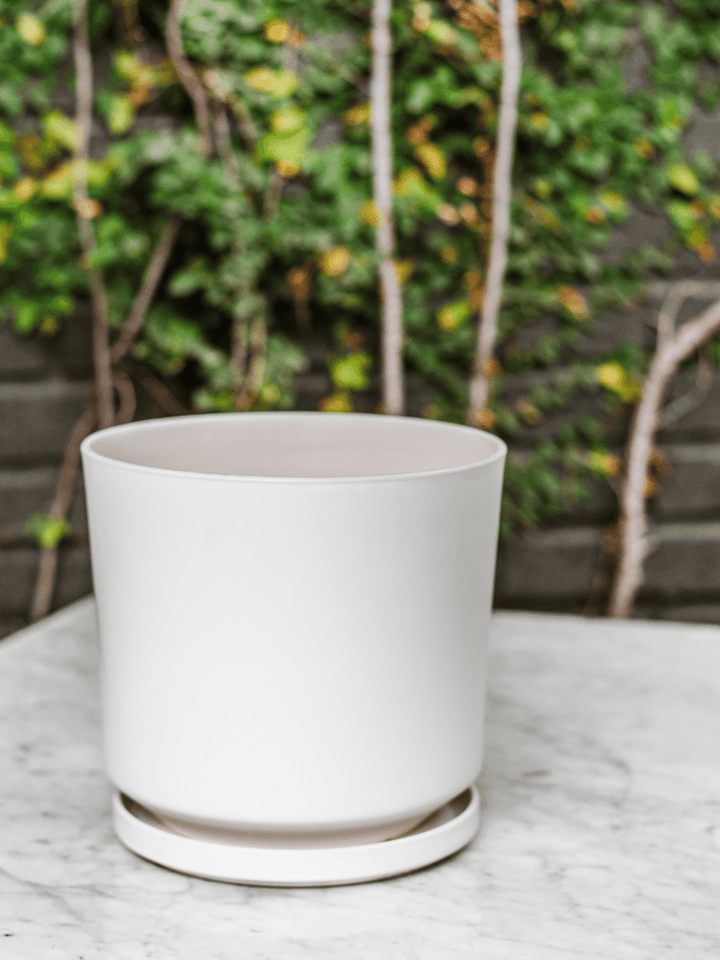 Dinamarca Blanco 24" (Macetero cerámica) Plant Me