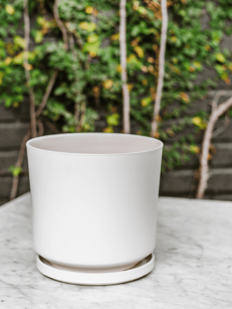 Dinamarca Blanco 24" (Macetero cerámica) Plant Me