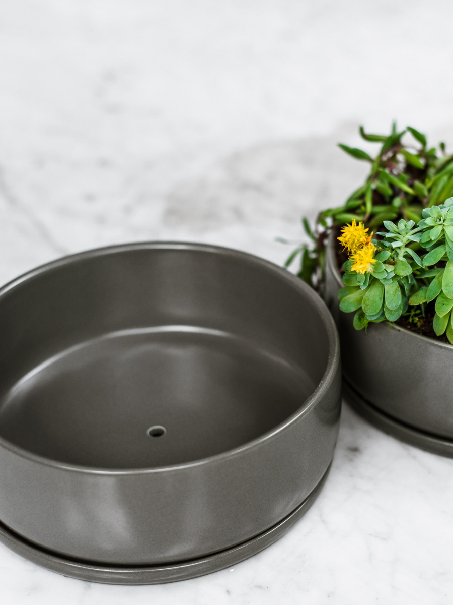 Río Gris (Macetero) Plant Me