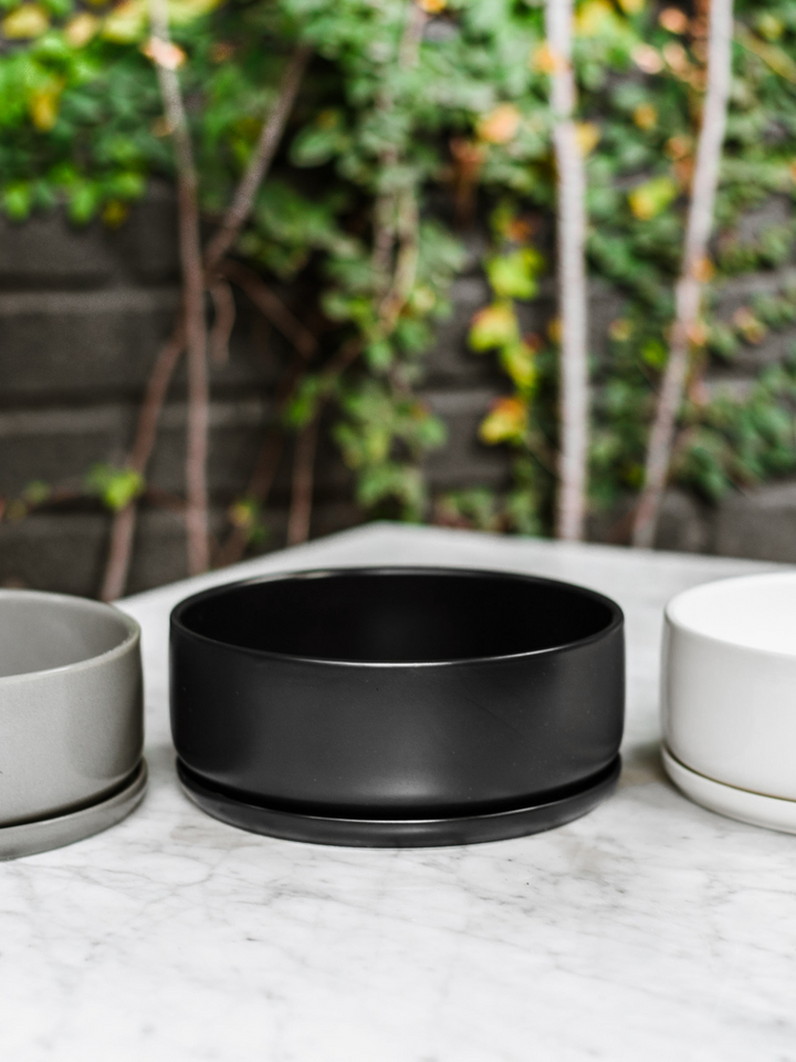 Río Gris (Macetero)