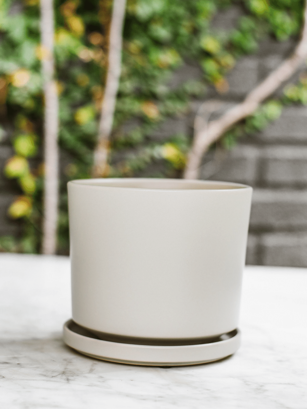 Dinamarca Gris 16" (Macetero cerámica) Plant Me