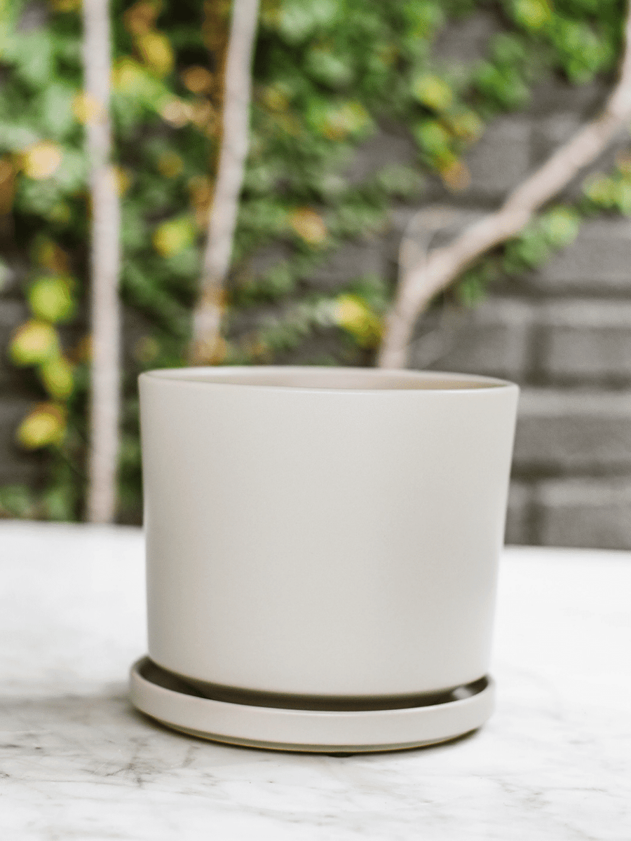 Dinamarca Gris 16" (Macetero cerámica) Plant Me