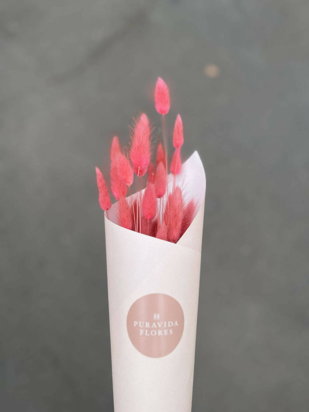 Bunny tail Rosado Seco