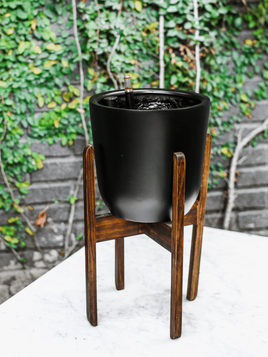 Chono Negro (Autorregante L) interior PlantMe Chile Negro y Pedestal
