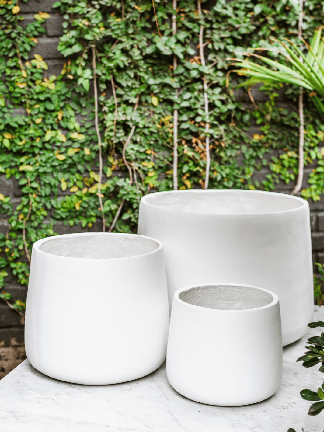 Marruecos 28x23 Blanco (Macetero fiberclay) Plant Me