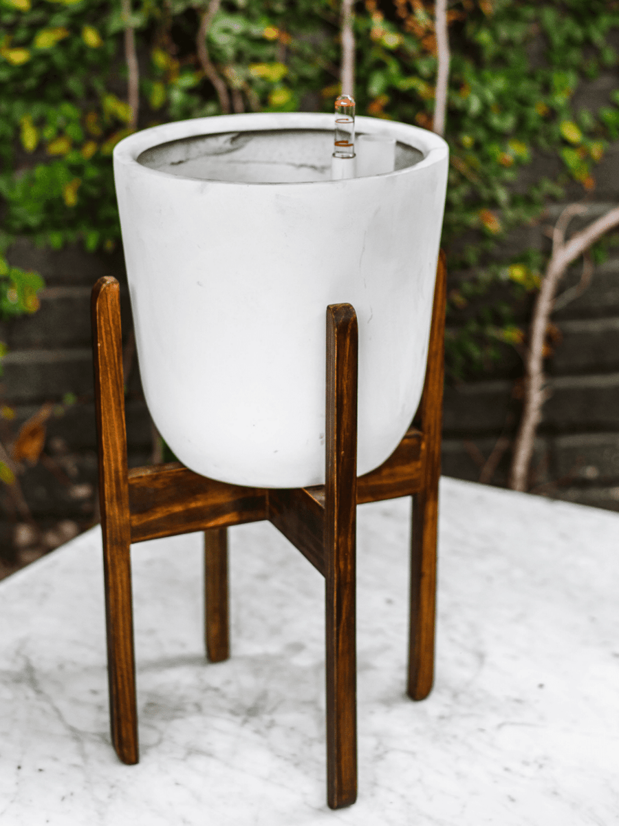 Chono Blanco (Autorregante L) interior PlantMe Chile Blanco y Pedestal