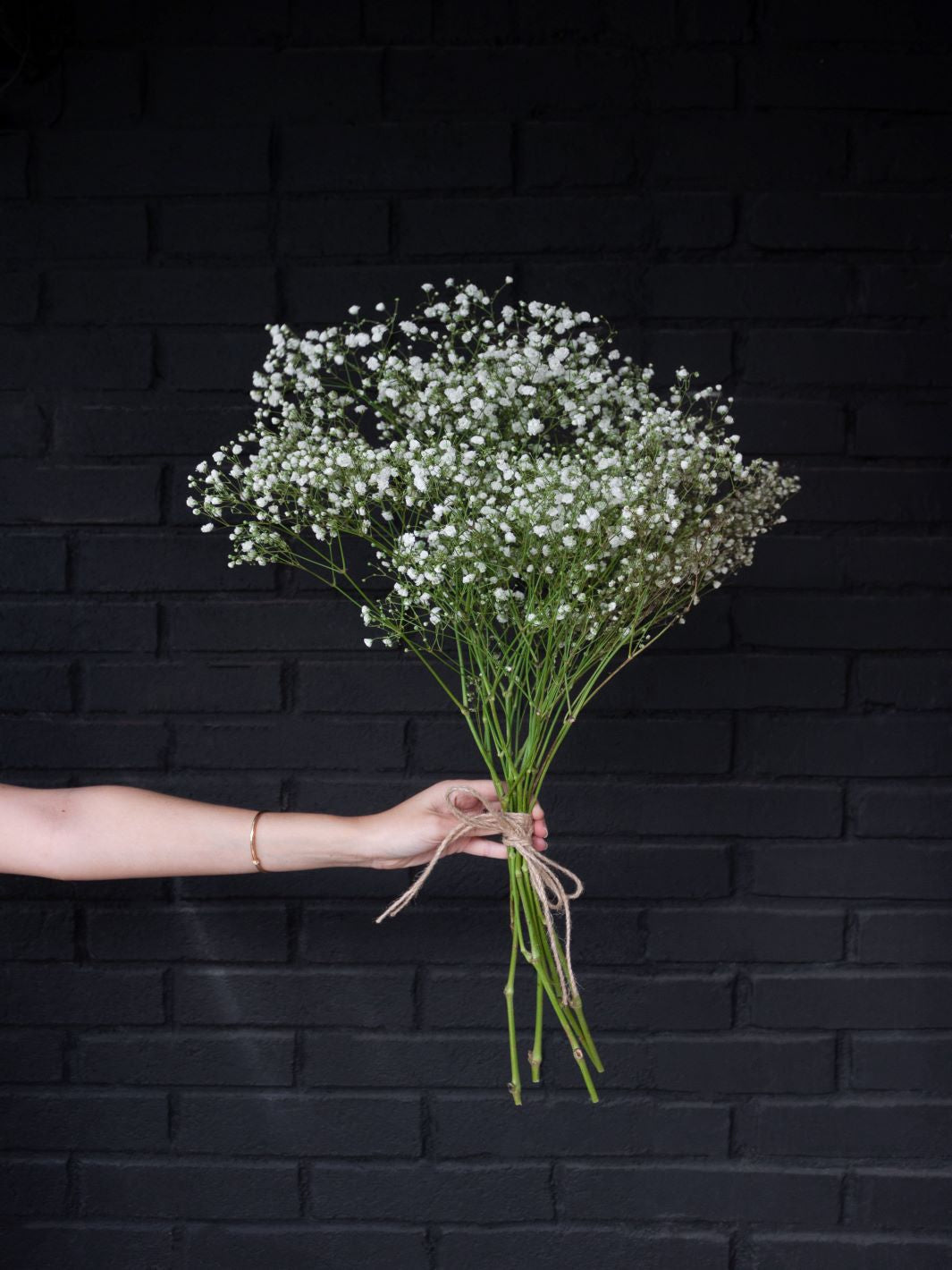 Gypsophilia (Flores secas)
