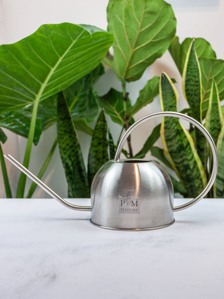 Regadera Berna Silver