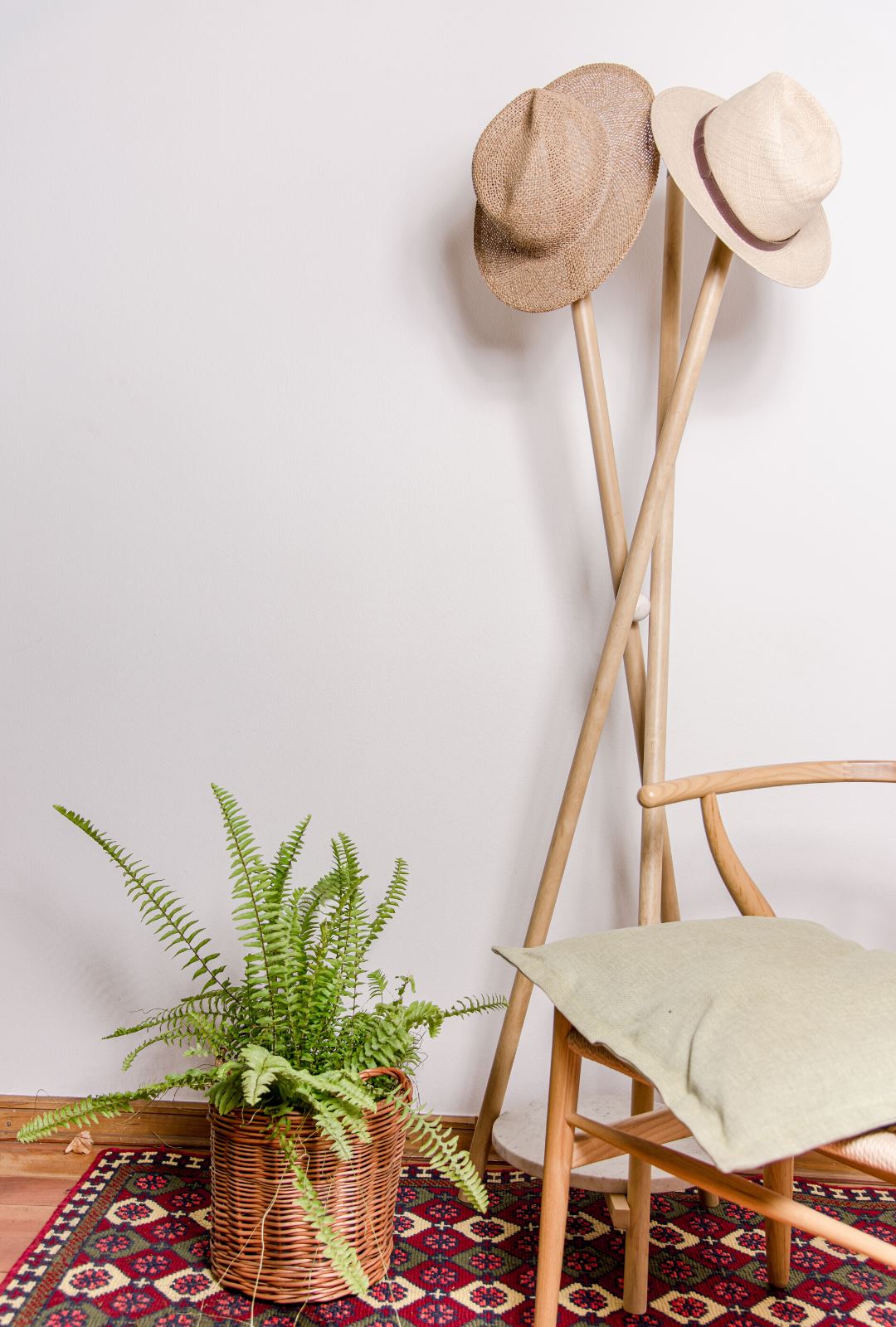 Hector  (Helecho) - PlantMe Chile