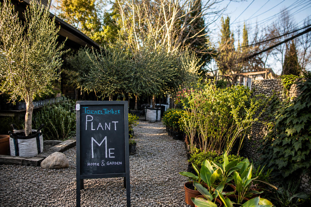 7 actividades para celebrar nuestros 7 años: conoce la agenda de aniversario PlantMe