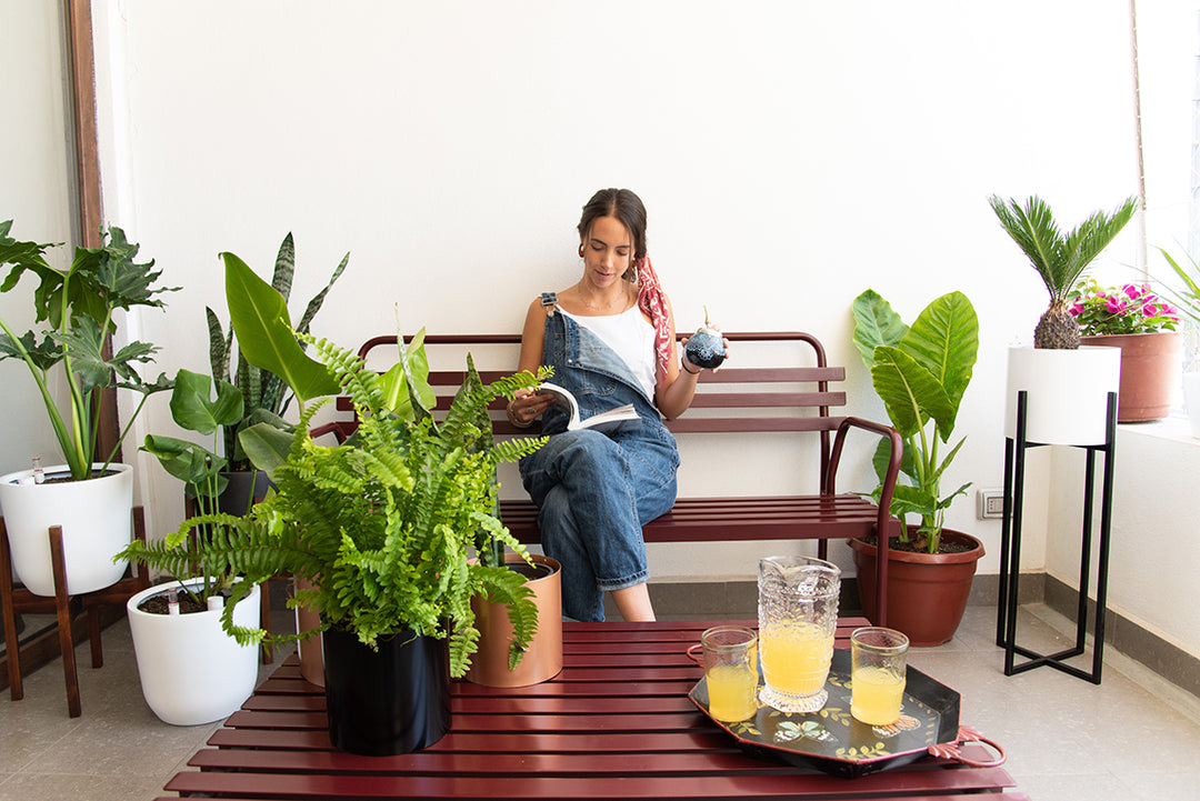 Autocuidado con plantas