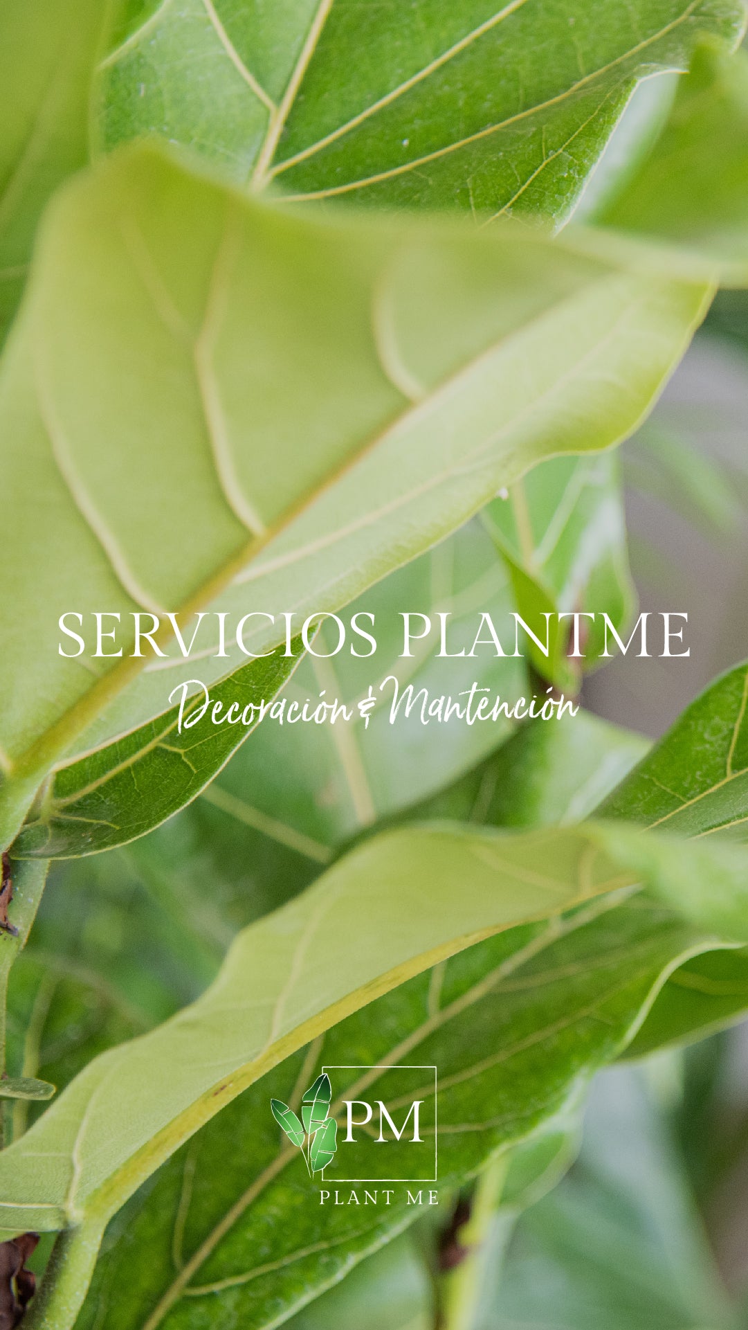 Servicios PlantMe 🌿 – PlantMe Chile