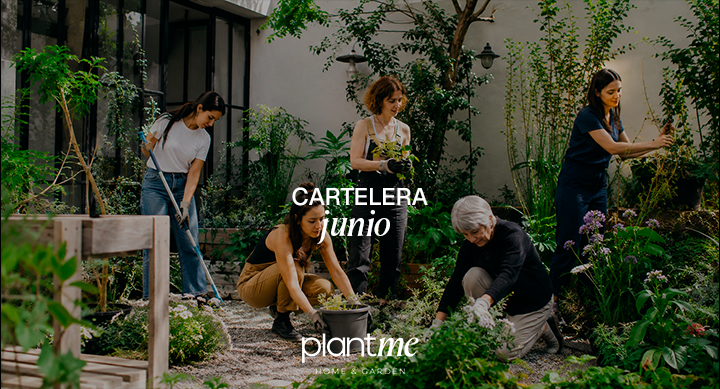 Cartelera Junio