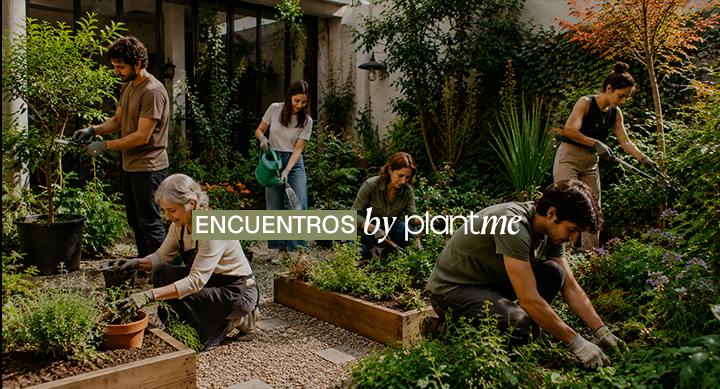 ¿Qué es Encuentros PlantMe?