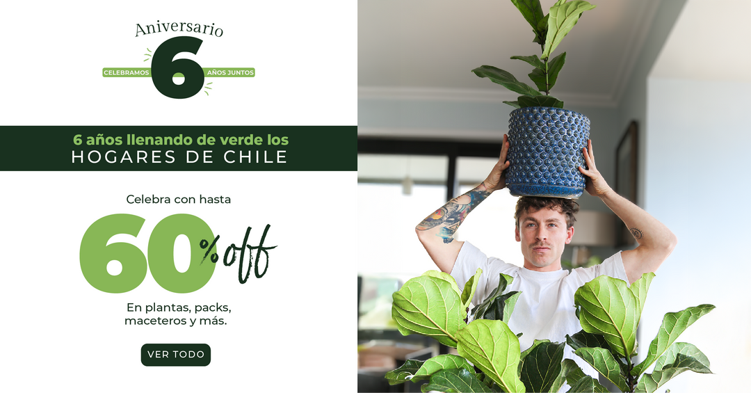 ¡PlantMe cumple 6 años… y esto recién comienza! 🌿