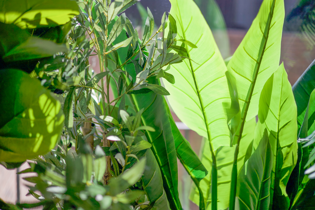 Plantas Eco Sinteticas